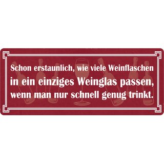 Schild Spruch "Wie viele Weinflaschen in ein einziges Weinglas passen" 27 x 10 cm Blechschild