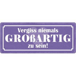 Schild Spruch "Vergiss niemals großartig zu sein" 27 x 10 cm Blechschild