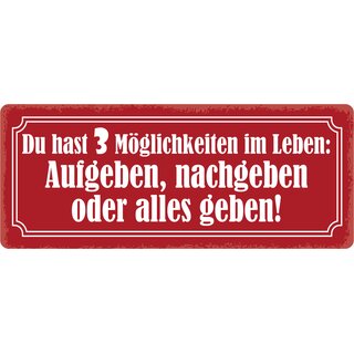 Schild Spruch "Du hast 3 Möglichkeiten im Leben" 27 x 10 cm Blechschild