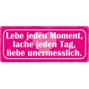 Schild Spruch "Lebe jeden Moment" 27 x 10 cm...