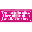 Schild Spruch "Du bist nicht alles" 27 x 10 cm...