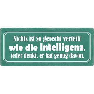 Schild Spruch "Nichts ist gerecht verteilt wie Intelligenz" 27 x 10 cm Blechschild