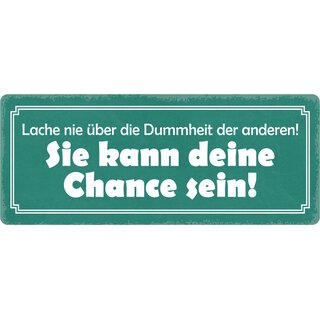 Schild Spruch "Lache nie über die Dummheit der anderen" 27 x 10 cm Blechschild