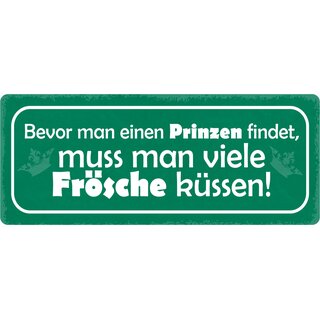 Schild Spruch "Bevor man einen Prinzen findet" 27 x 10 cm Blechschild