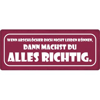 Schild Spruch "Wenn Arschlöcher dich nicht leiden können" 27 x 10 cm Blechschild