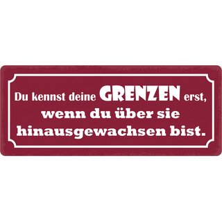 Schild Spruch "Kennst Grenzen wenn du hinausgewachsen bist" 27 x 10 cm Blechschild