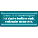 Schild Spruch "Habe viel aus meinen Fehlern...