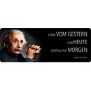 Schild Spruch "Lerne vom Gestern, Einstein" 27...