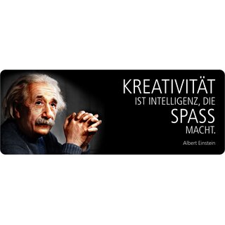 Schild Spruch "Kreativität ist Intelligenz, Einstein" 27 x 10 cm Blechschild