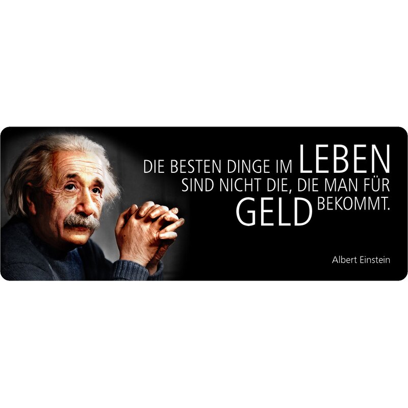 Schild Spruch "Die Besten Dinge im Leben, für Geld bekommt, Einstein"
