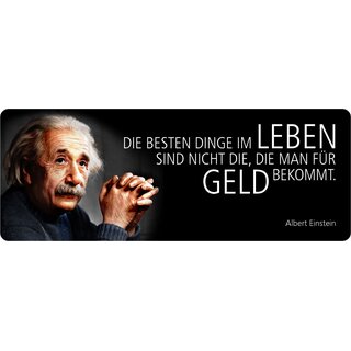 Schild Spruch "Die Besten Dinge im Leben, für Geld bekommt, Einstein" 27 x 10 cm Blechschild