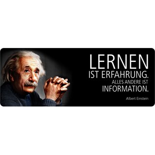 Schild Spruch "Lernen alles andere ist Information, Einstein" 27 x 10 cm Blechschild