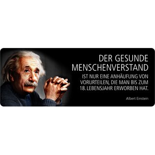 Schild Spruch "Menschenverstand Anhäufung von Vorurteilen, Einstein" 27 x 10 cm Blechschild