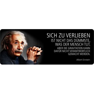 Schild Spruch "Verlieben nicht das Dümmste, Einstein" 27 x 10 cm Blechschild