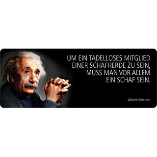 Schild Spruch "Mitglied einer Schafherde, Einstein" 27 x 10 cm Blechschild