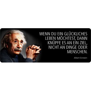 Schild Spruch "Glückliches Leben knüpfe an Ziel an, Einstein" 27 x 10 cm Blechschild