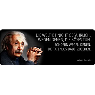 Schild Spruch "Welt nicht gefährlich, Einstein" 27 x 10 cm Blechschild