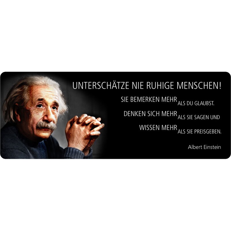 Schild Spruch "Unterschätz nie ruhige Menschen, Einstein" 27 x 10 cm