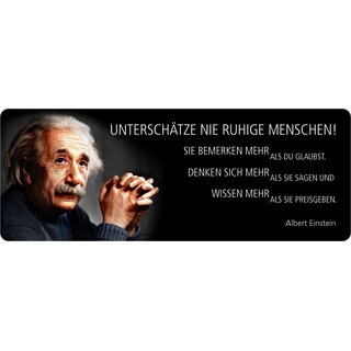 Schild Spruch "Unterschätz nie ruhige Menschen, Einstein" 27 x 10 cm Blechschild