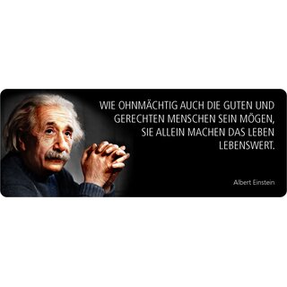 Schild Spruch "Wie ohnmächtig die Guten sein mögen, Einstein" 27 x 10 cm Blechschild