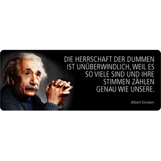Schild Spruch "Herrschafft Dummen unüberwindlich, Einstein" 27 x 10 cm Blechschild