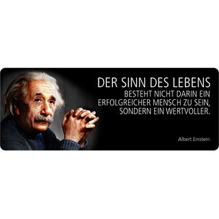 Schild Spruch "Sinn des Lebens, erfolgreicher Mensch, Einstein" 27 x 10 cm Blechschild