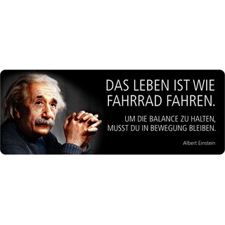 Schild Spruch "Leben ist wie Fahrrad fahren, Einstein" 27 x 10 cm Blechschild