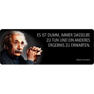 Schild Spruch "Dumm, dasselbe zu tun, Einstein" 27 x 10 cm Blechschild