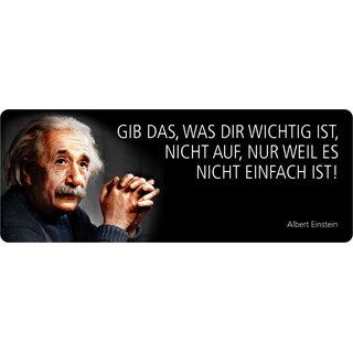 Schild Spruch "Gib das was wichtig ist nicht auf, Einstein" 27 x 10 cm Blechschild