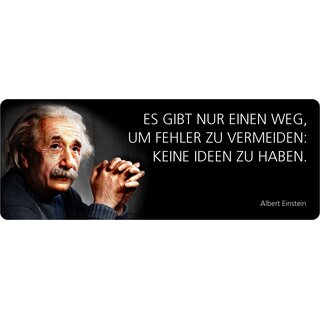 Schild Spruch "Einen Weg, um Fehler zu vermeiden, Einstein" 27 x 10 cm Blechschild