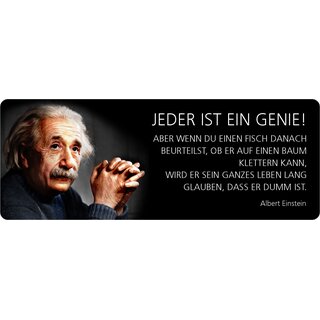 Einstein Metallschild 27x10 Wanddeko mit Kordel Blechschild Jeder ist ein Genie 