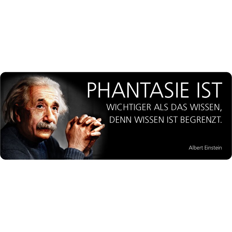Schild Spruch "Phantasie wichter, Wissen begrenzt, Einstein" 27 x 10