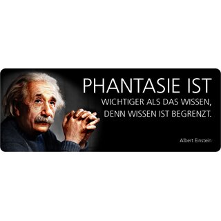 Schild Spruch "Phantasie wichter, Wissen begrenzt, Einstein" 27 x 10 cm Blechschild