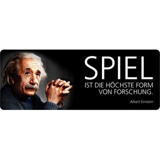 Schild Spruch "Höchste Form von Forschung, Einstein" 27 x 10 cm Blechschild