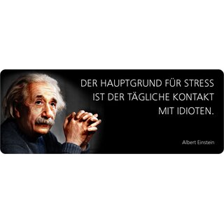 Schild Spruch "Der tägliche Kontakt mit Idioten, Einstein" 27 x 10 cm Blechschild