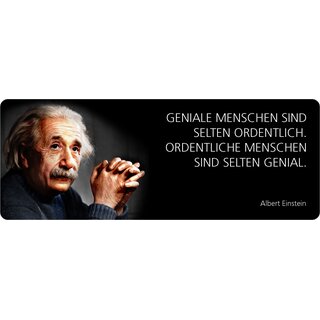 Schild Spruch "Ordentlliche Menschen sind selten genial, Einstein" 27 x 10 cm Blechschild