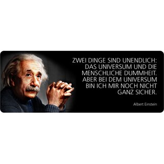 Schild Spruch "Zwei Dinge sind unendlich, Einstein" 27 x 10 cm Blechschild