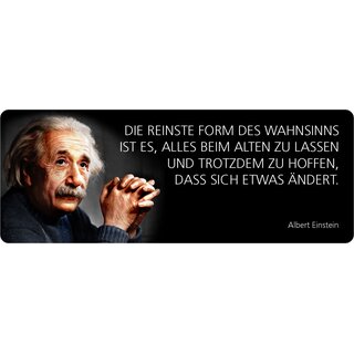 Schild Spruch "Reinste Form des Wahnsinns, Einstein" 27 x 10 cm Blechschild