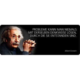 Schild Spruch "Probleme niemals mit derselben Denkweise lösen, Einstein" 27 x 10 cm Blechschild