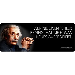 Schild Spruch "Wer nie einen Fehler beging, Einstein" 27 x 10 cm Blechschild