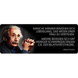 Schild Spruch "Manche Männer bemühen sich lebenslang, Einstein" 27 x 10 cm Blechschild