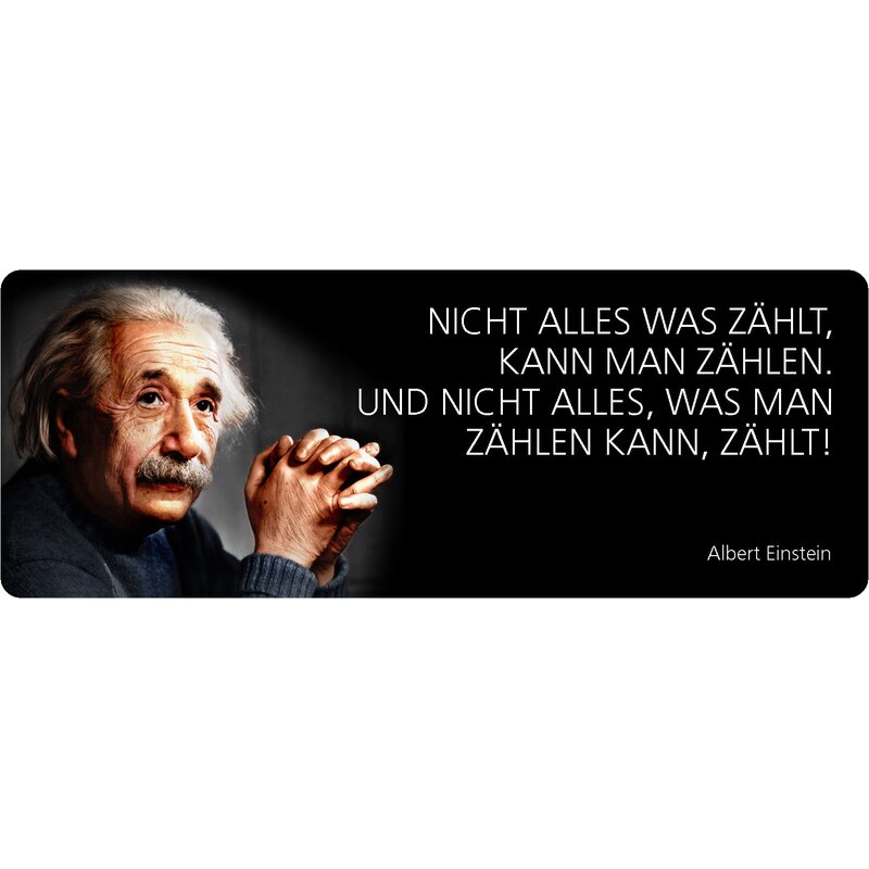 Schild Spruch "Nicht alles was zählt, kann man zählen, Einstein" 27 x