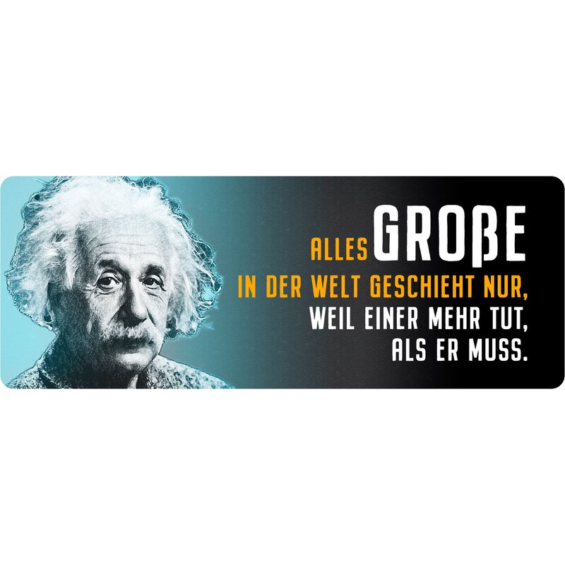 Blechschild OVP Albert Einstein Neu alles Große in der Welt... 27 x 10 cm