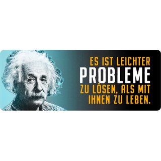 Schild Spruch "Probleme lösen, als mit ihnen zu Leben, Einstein" 27 x 10 cm Blechschild