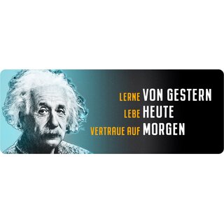 Schild Spruch "Lerne vom Gestern, lebe Heute, Einstein" 27 x 10 cm Blechschild