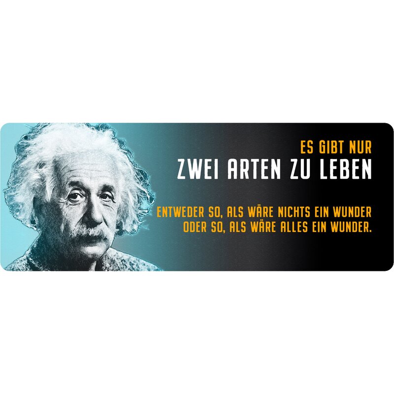Schild Spruch "Es gibt zwei Arten zu Leben, Einstein" 27 x 10 cm Blec
