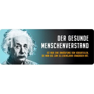 Schild Spruch "Der gesunde Menschenverstand, Einstein" 27 x 10 cm Blechschild