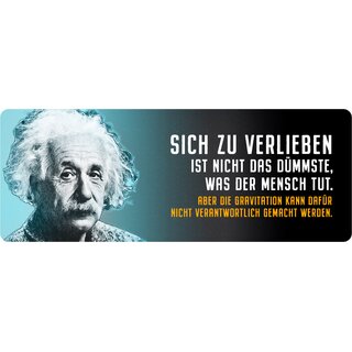 Schild Spruch "Sich zu Verlieben ist nicht das Dümmste, Einstein" 27 x 10 cm Blechschild