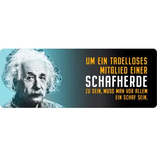 Schild Spruch "Tadelloses Mitglied einer Schafherde, Einstein" 27 x 10 cm Blechschild