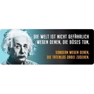 Schild Spruch "Die Welt ist nicht gefährlich, Einstein" 27 x 10 cm Blechschild
